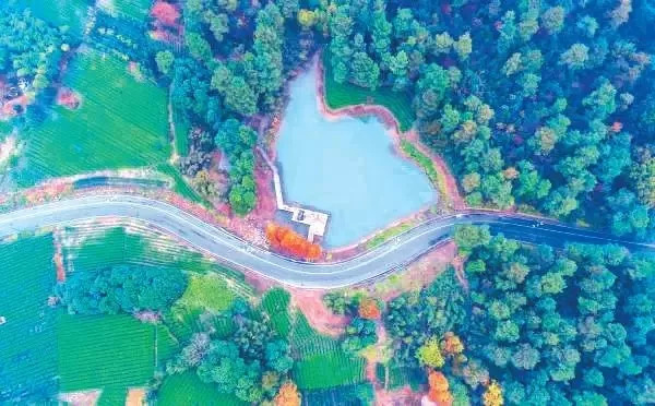 第十六届省运会举办地,省运会赛事抢先看