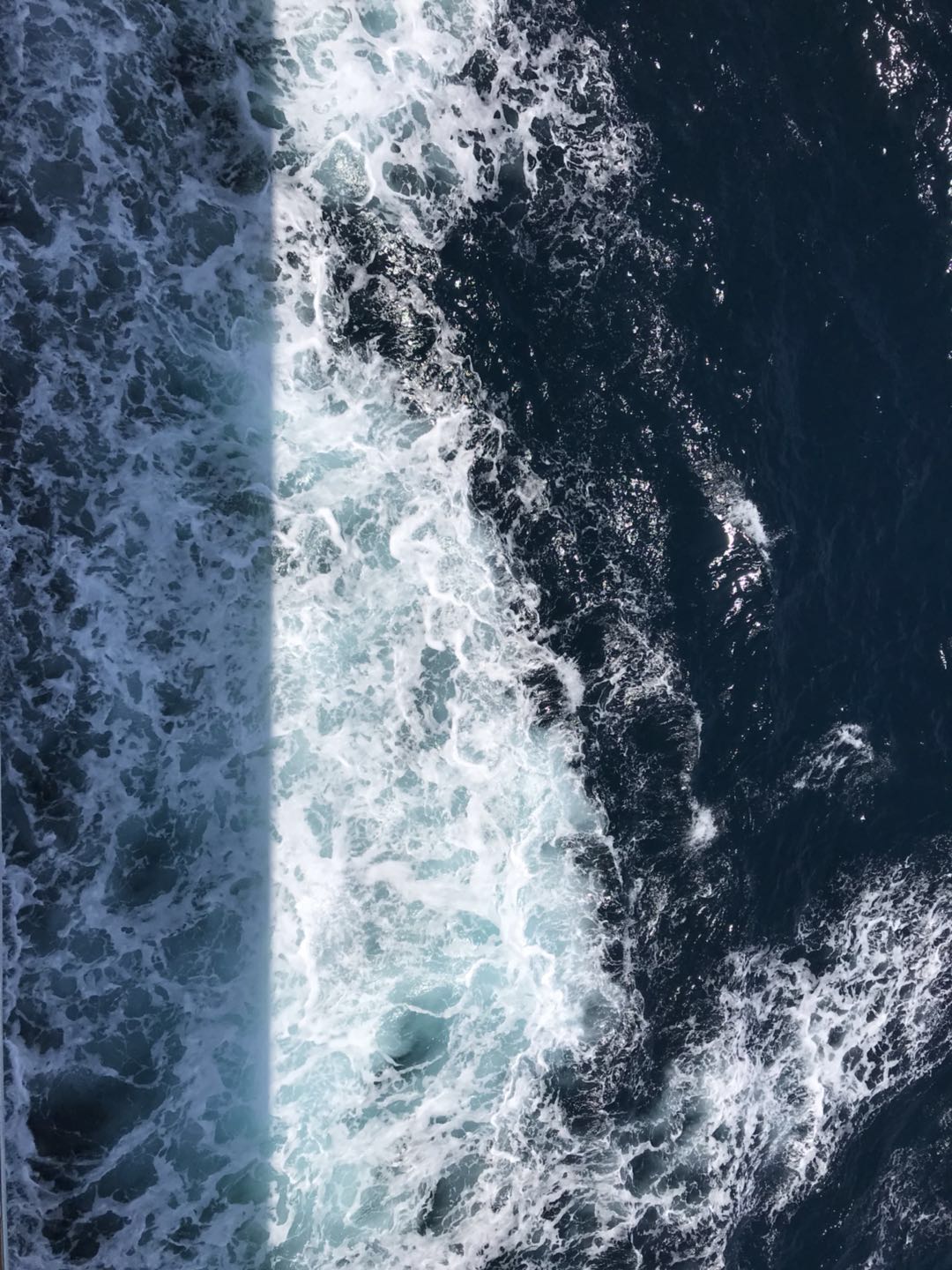 记录蛇口游轮海上之旅,现在的天海邮轮