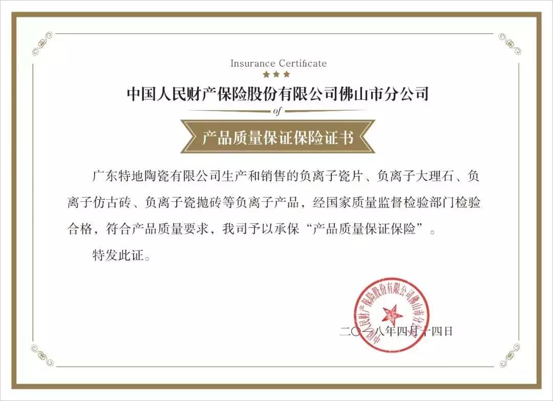 特地负离子瓷砖卖点,王者瓷砖和特地负离子瓷砖哪个好