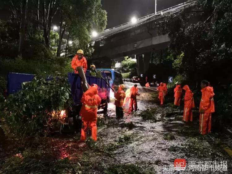 “山竹”过后首个工作日：广东人爬树都要去上班！
