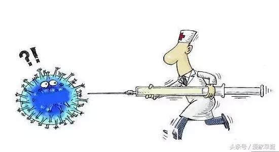 宫颈癌与hpv知识,关于hpv与宫颈癌科普