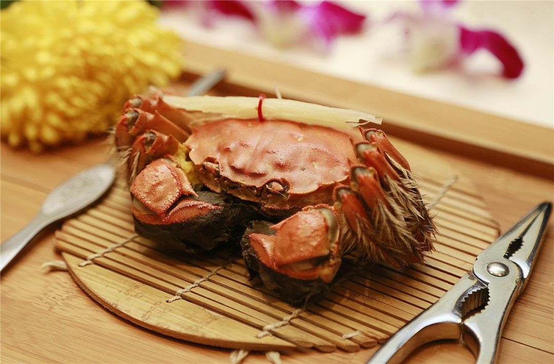 会跳舞的小汤包,会跳舞的清蒸蟹