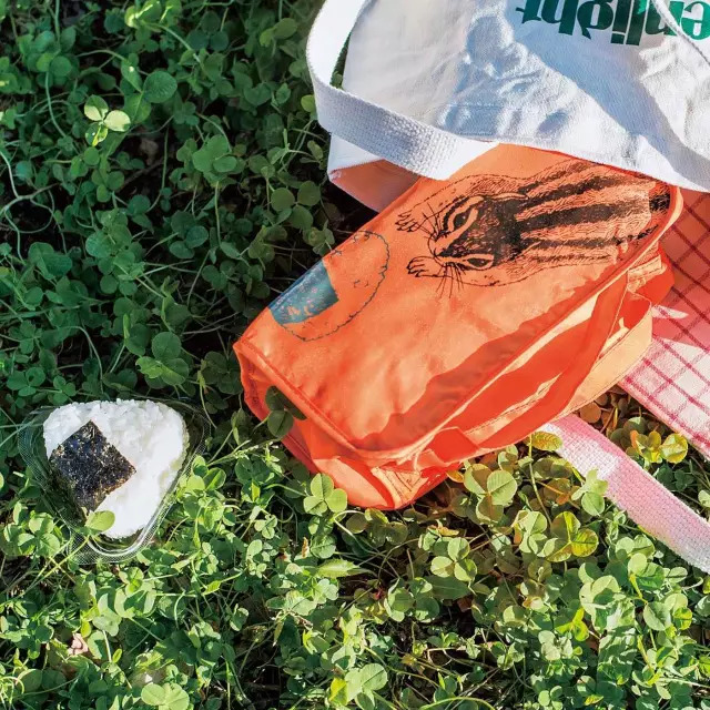 日本人家里东西太多,日本必备10种东西