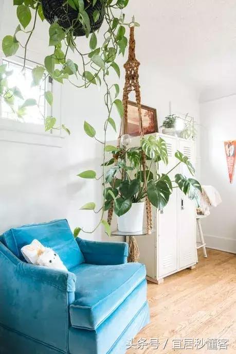 美国女孩改造旧木屋,时尚靓丽国外60年代老公寓改造