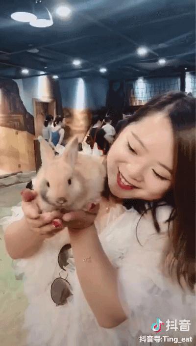 重庆动物园推荐熊猫,重庆动物园冬天有小熊猫吗