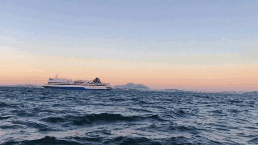 大连帆船出海最佳时间,大连帆船出海看日落