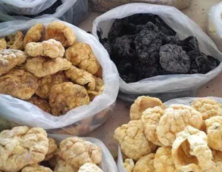 最不可思议的泡酒材料,十种最奇葩的泡酒