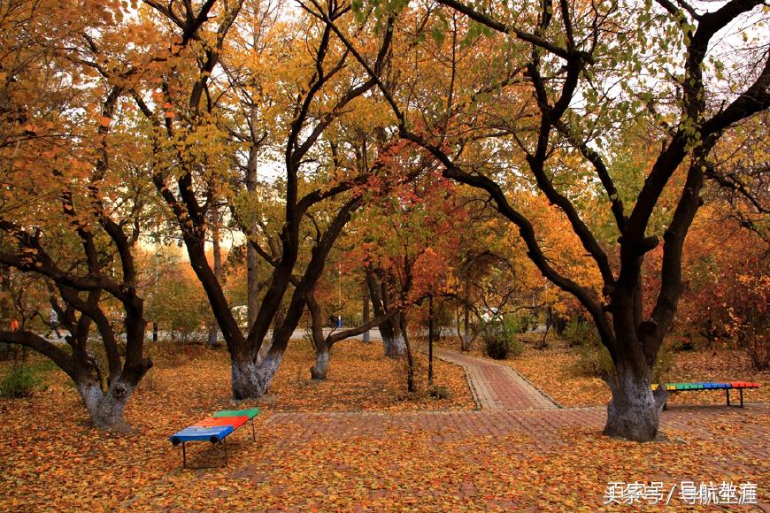 哈尔滨理工大学排名,哈尔滨理工大学排行