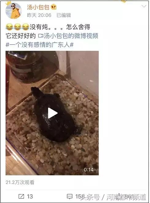 没有感情的广东人！台风天救起的乌龟，第二天就炖汤啦？