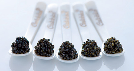 顶级鱼子酱美食,四大美食之一的鱼子酱