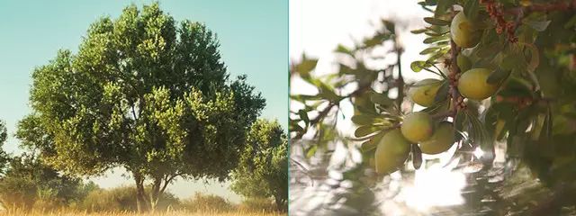 脚干裂脱皮的必备神器,脚部干裂起皮涂它全好了