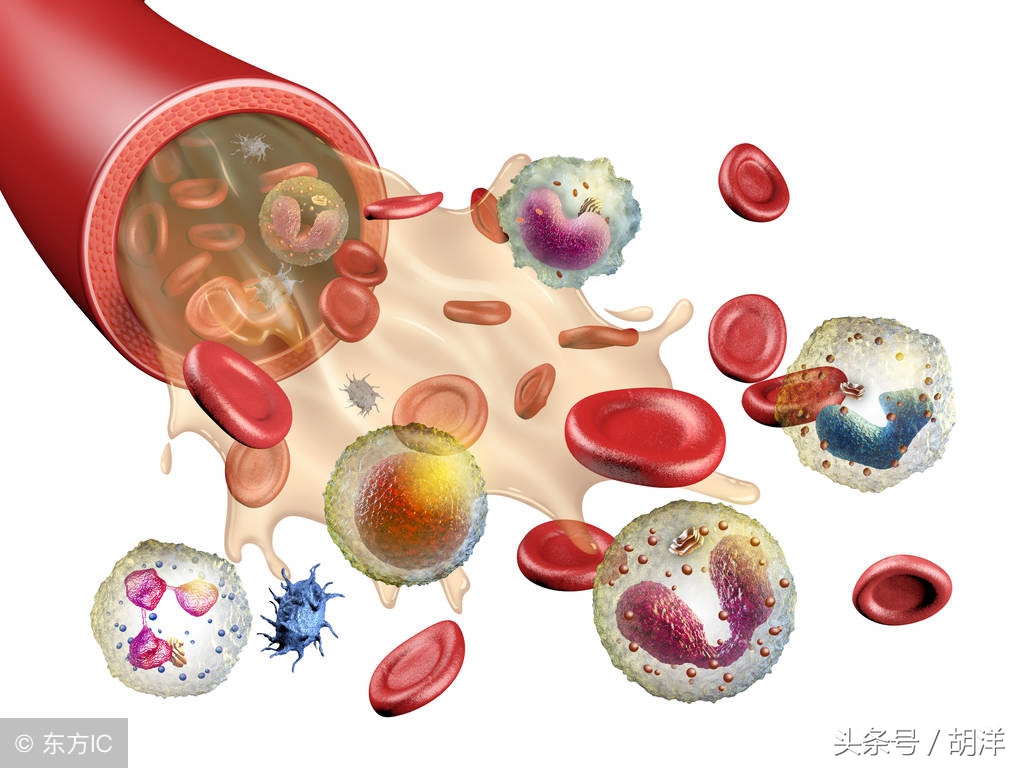 血小板减少会诱发哪些疾病,引起血小板低有哪些因素