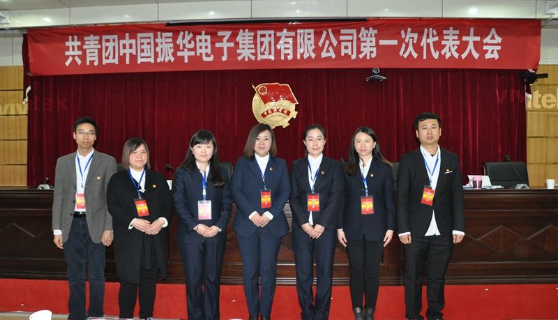 中国江湖风云录,中国振华电子集团有限公司