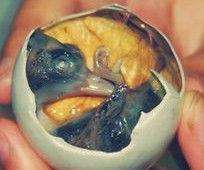 世界各地奇葩食物排名,世界奇葩美食视频