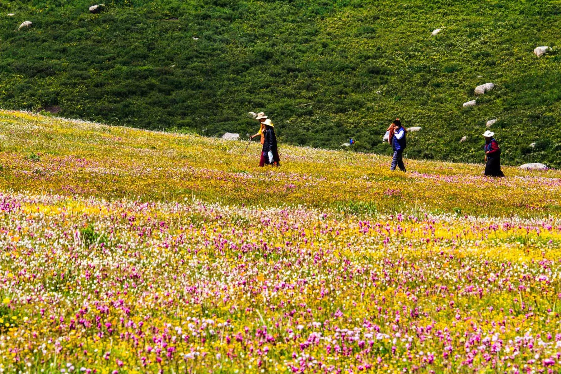 年宝玉则神山,年宝玉则天堂湖