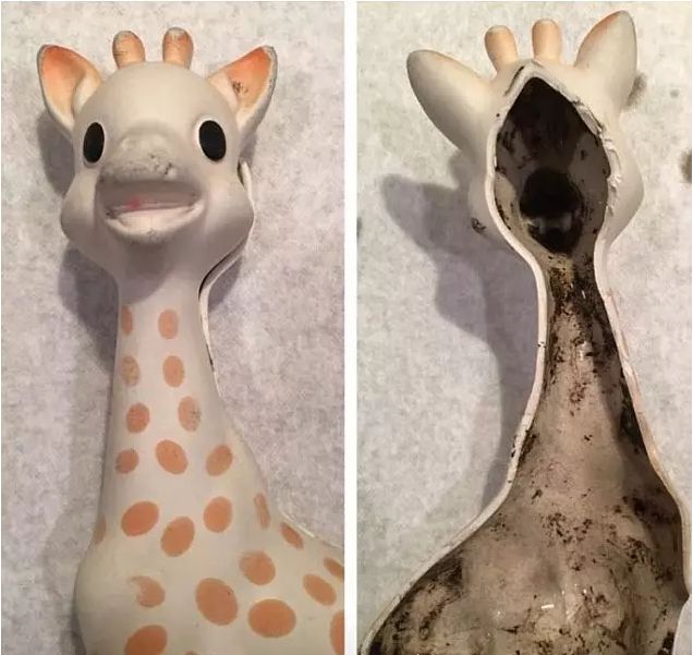 宝宝出牙时导致口腔溃疡,宝宝出牙牙齿痛喝什么粥