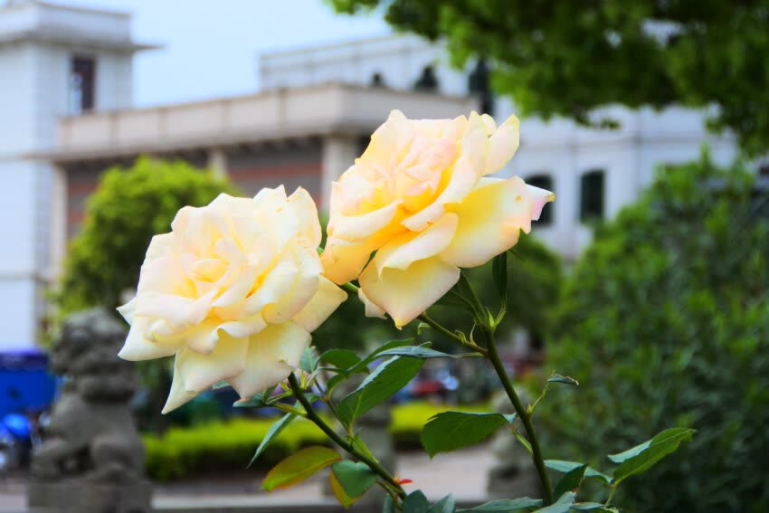 尼康j5放到现在是否过时,尼康j5缺点