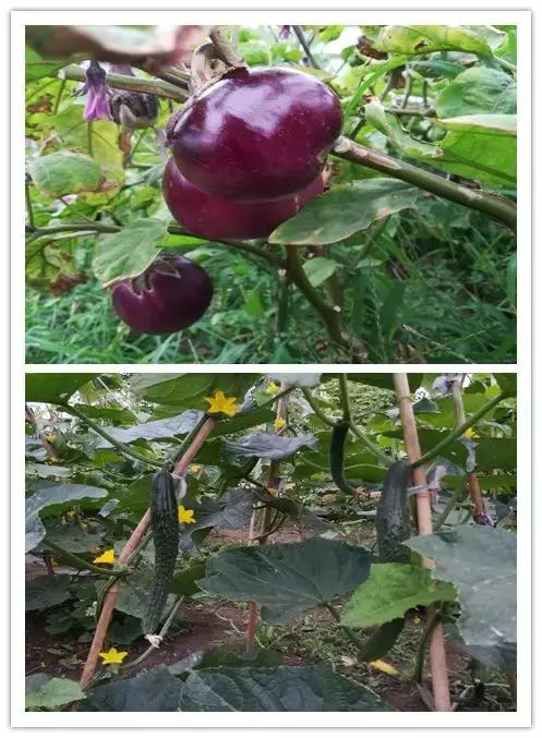 我们都要好好的努力工作享受生活,为了生活他们都在努力工作