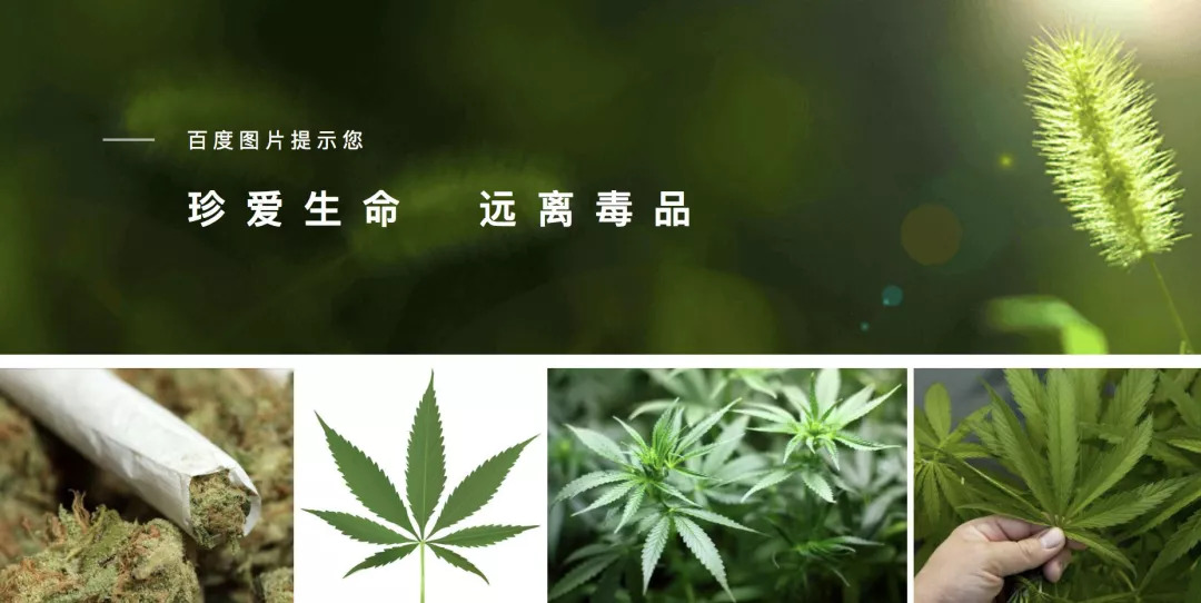可口可乐不可告人的秘密,可口可乐有什么危险