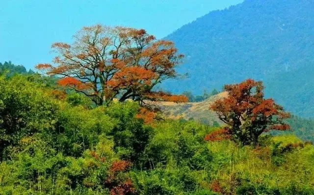 推荐广东9处美到窒息的小众景点，中秋国庆出行，再也不用看人海