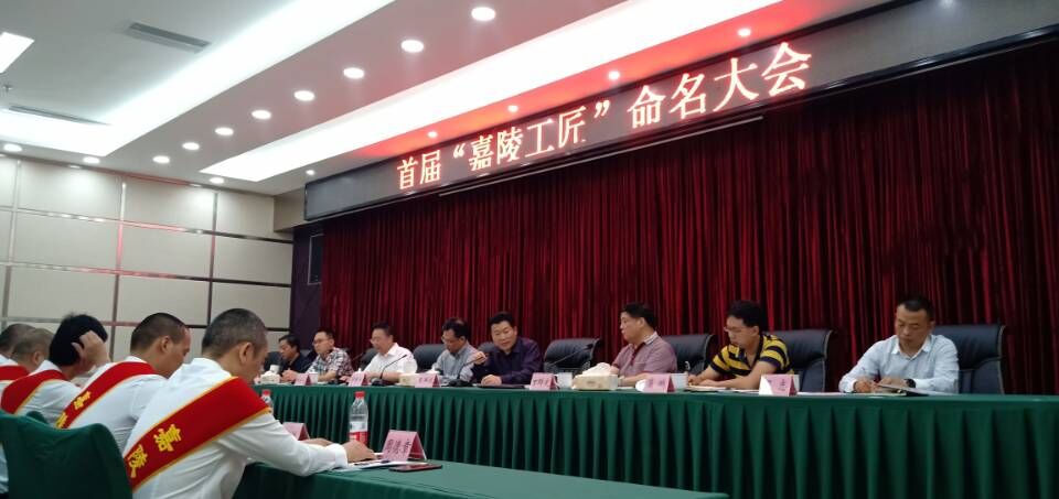 南充嘉陵网红前十名,南充十大著名的人