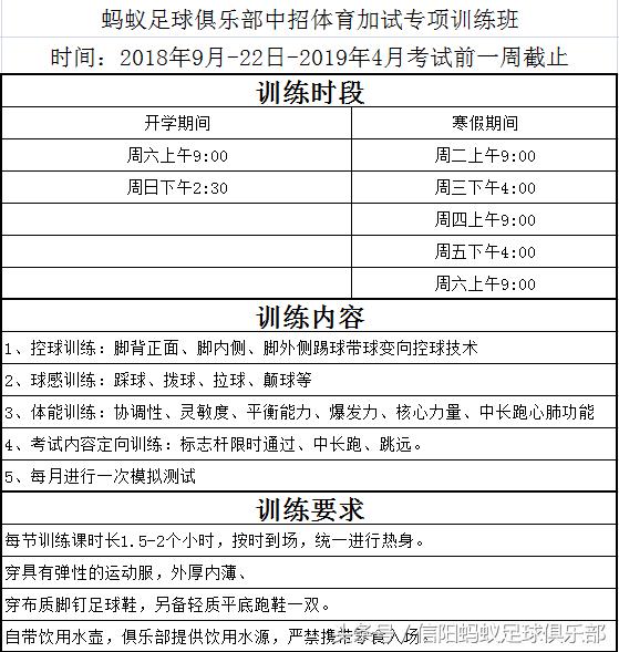 信阳蚂蚁足球比赛视频,信阳蚂蚁足球俱乐部假日足球赛