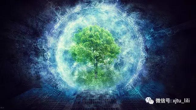 混沌疗法,混沌妙方