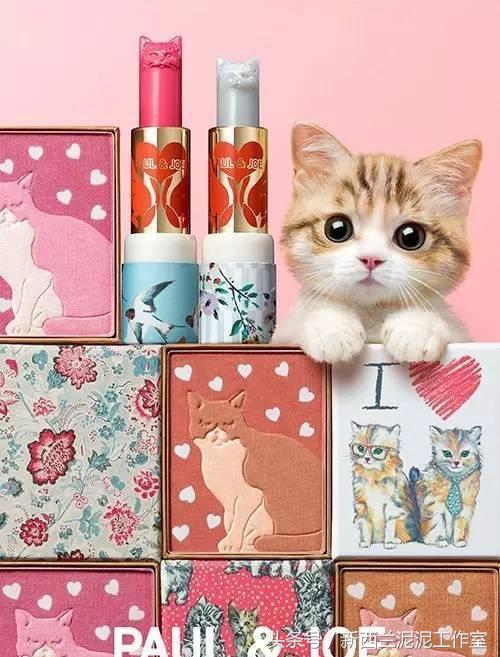 猫奴的护肤品,猫奴适合什么护肤品