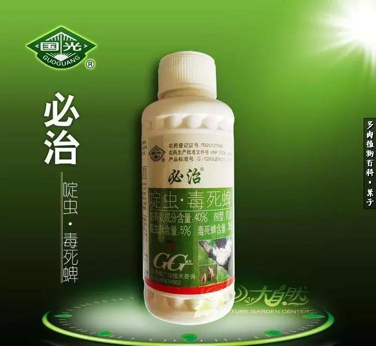 凉风至白露降寒蝉鸣下一句,夏天多肉小白虫消灭方法