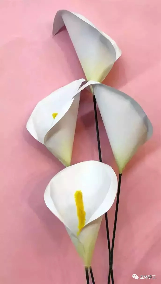 简单又好看的花朵手工,国庆节手工花朵又简单又好看