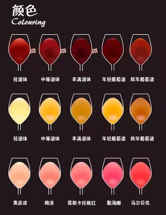 酒店餐厅葡萄酒基本知识普及,餐厅常见葡萄酒