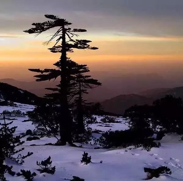 环云南自驾旅游攻略最佳线路,南宁自驾游云南最佳旅游攻略