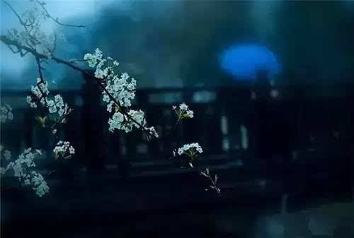 程迁飞董事长,一个走在创业路上的80后老板