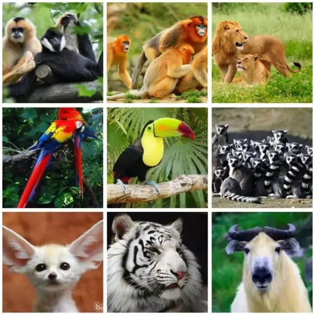 南京发布最新放假通知 (南京官方最新通知放假)