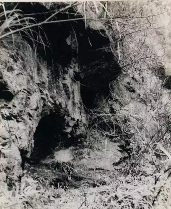 100张绝密南康老照片,100张信丰绝密老照片