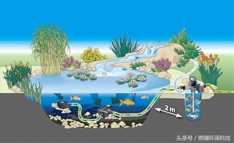 锦鲤鱼池过滤高清详细设计图纸,全自动过滤系统锦鲤鱼池施工方案