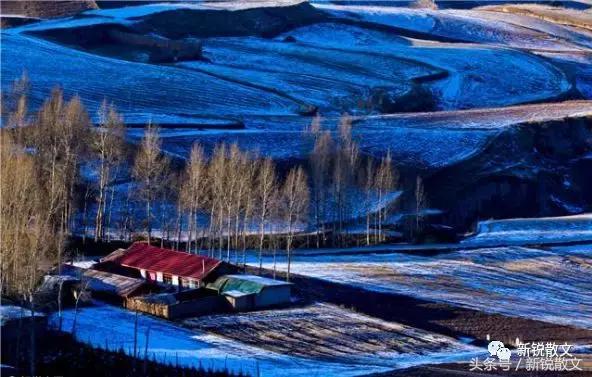 我的家乡肥西丰乐镇,我的家乡丰乐400字