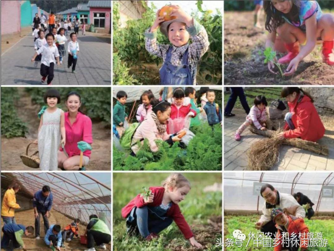 农业体验活动创意项目,休闲农业体验活动评估