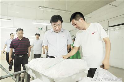 邓州市一二三产业融合,邓州跑出招商引资助脱贫加速度