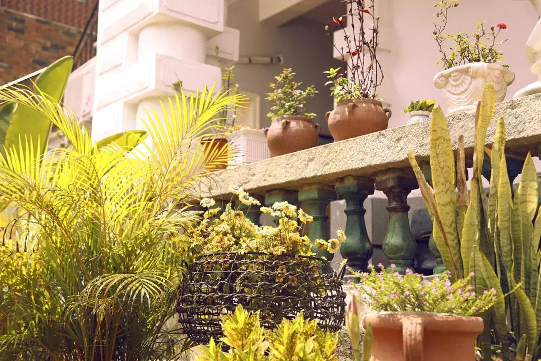 厦门鼓浪屿旅行全攻略手册，记得收藏