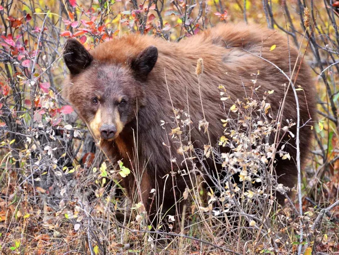 比周杰伦大婚的地方更震撼，还是迪士尼城堡原型地！快来打卡！
