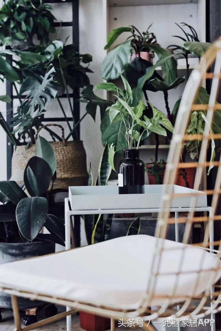 她家家居旗舰店,她家家具性价比超高