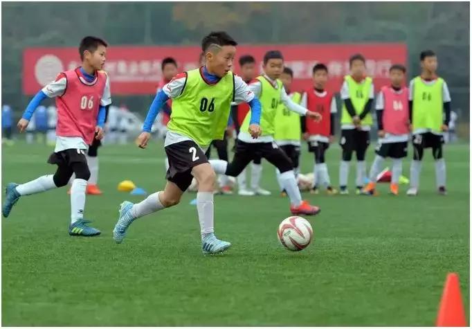 淮南特色学校有哪些,淮南十大有名学校