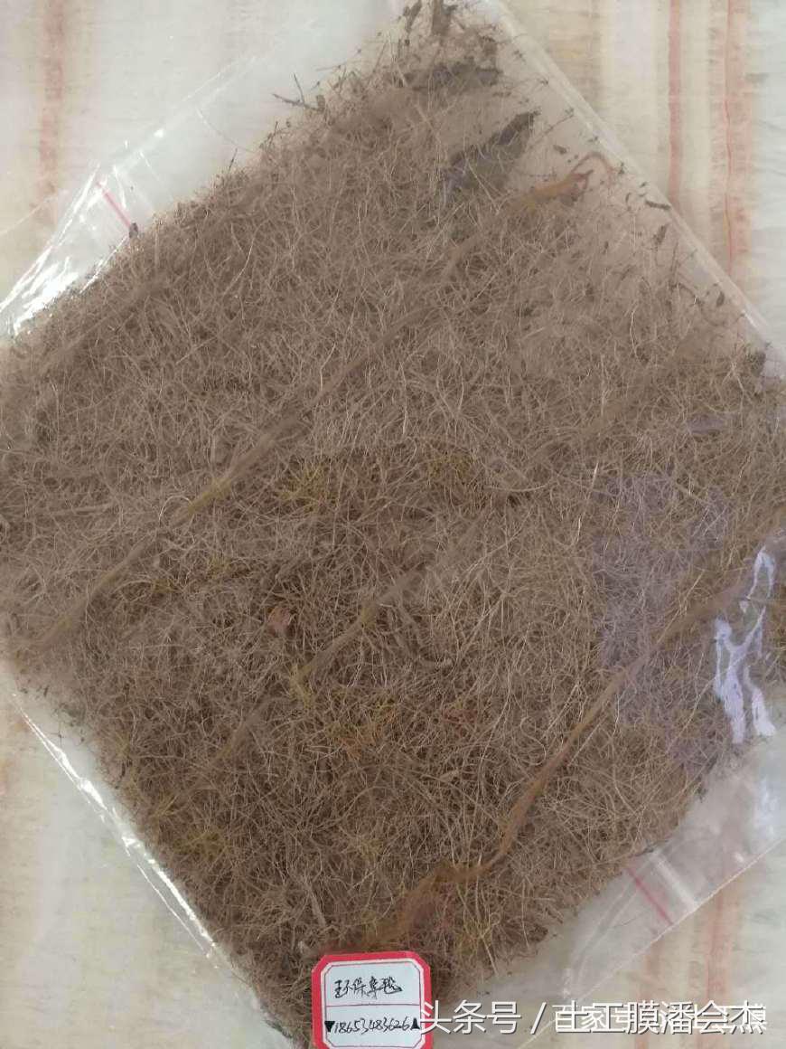 椰丝毯、护坡一体化草毯及抗冲生物毯简介