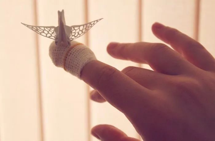 每天折一个千纸鹤,每天折一只纸鹤