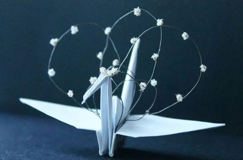 每天折一个千纸鹤,每天折一只纸鹤