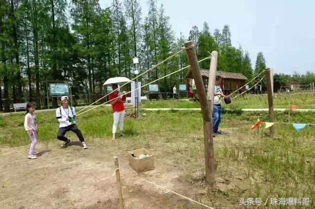 神操作假期,神操作一口气过12个绿灯