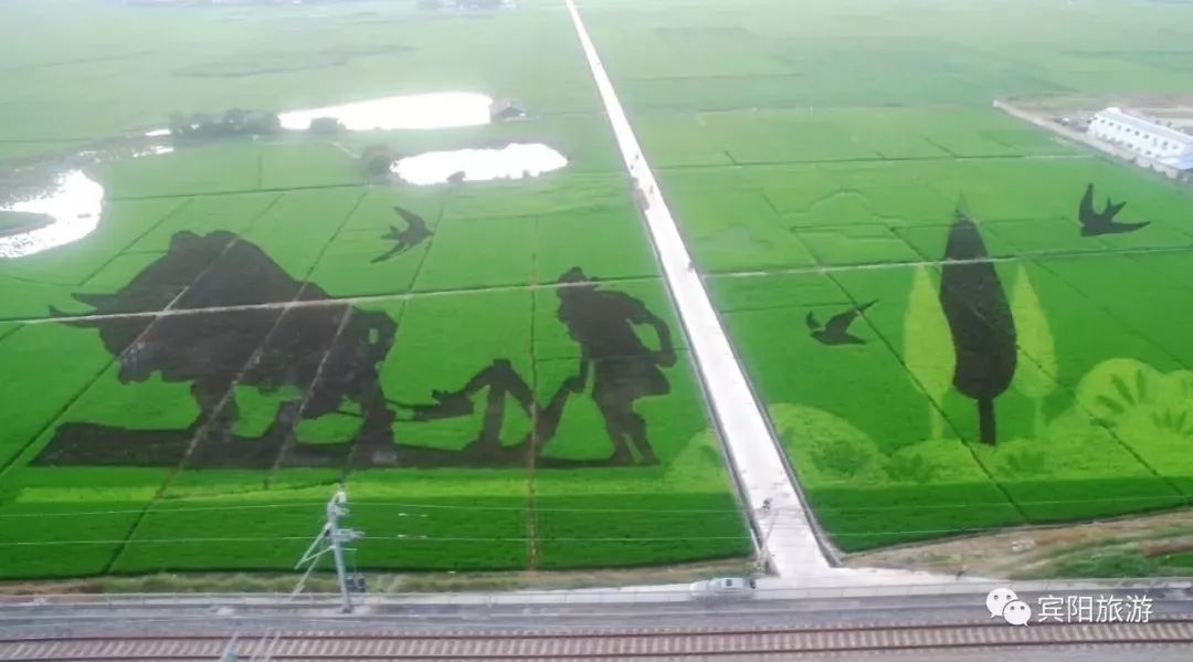 宾阳古辣邀请函,2020年宾阳县古辣