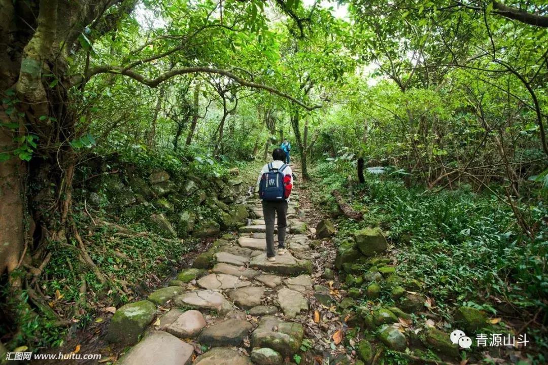 三峡猕猴桃 (中国农民丰收节博山猕猴桃)