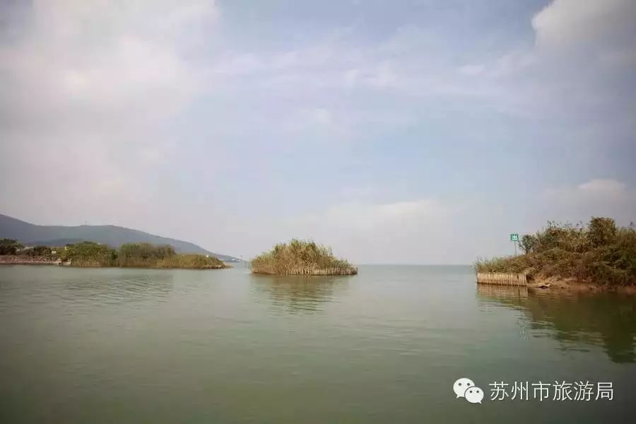 东山橘子采摘节怎么样,苏州东山橘子采摘攻略